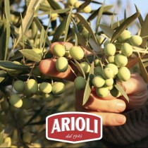義大利原裝進口【Arioli】特級初榨橄欖油｜免運